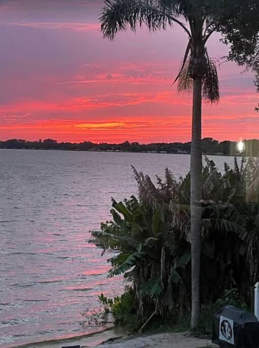 Lakefront Duplex With Pontoon Boat 3 Bed House Mount Dora Eksteriør bilde